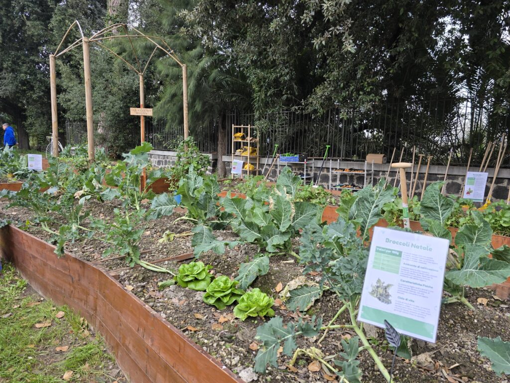 L'orto della Parvula Domus.